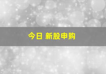 今日 新股申购